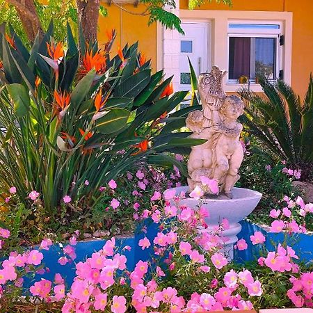 Iris Apartment Near Corfu Town Kondókali Kültér fotó